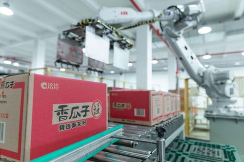 走进洽洽透明工厂，探访一颗坚果蕴藏的新质生产力